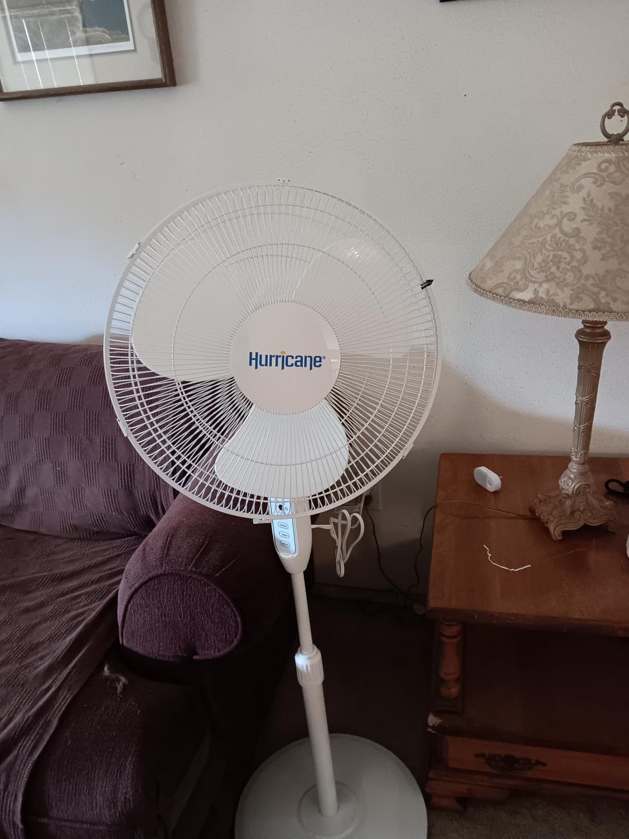 Hurricane Pro High-Velocity Oscillating Metal Stand Fan w/ 3-Speed Setting, 20