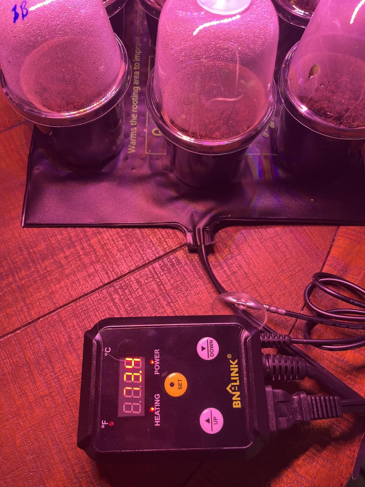 BN-LINK Reptile Thermostat Temperature Controller, Digital Heat Mat Thermostat for Seed Starting, Plant Germination, Greenhouse, Incubator, Brooder, Brewing, Reptiles Tank, 40-108°F, 1000W, ETL Listed customer photo 1