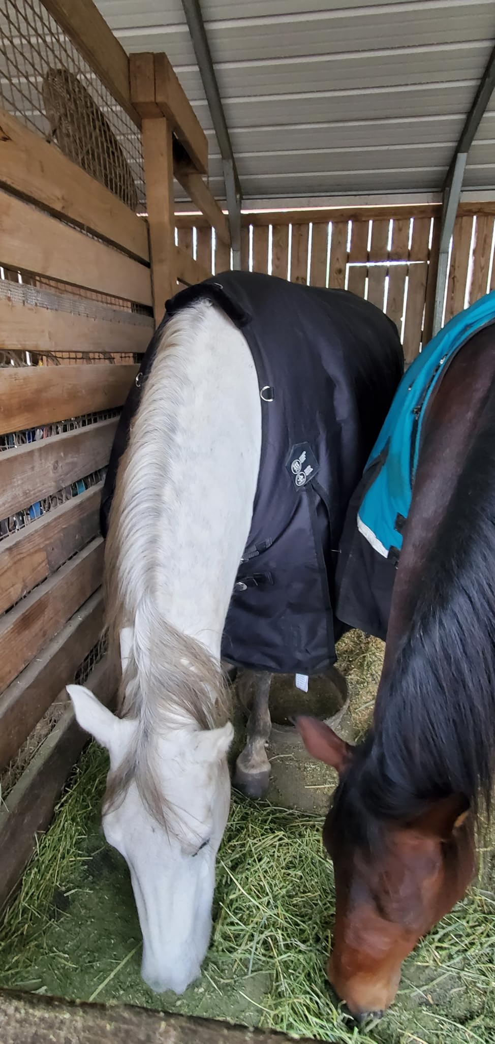 Horze Nevada Heavy Weight 1200D Waterproof Horse Winter Turnout Blanket (400g Fill) customer photo 2