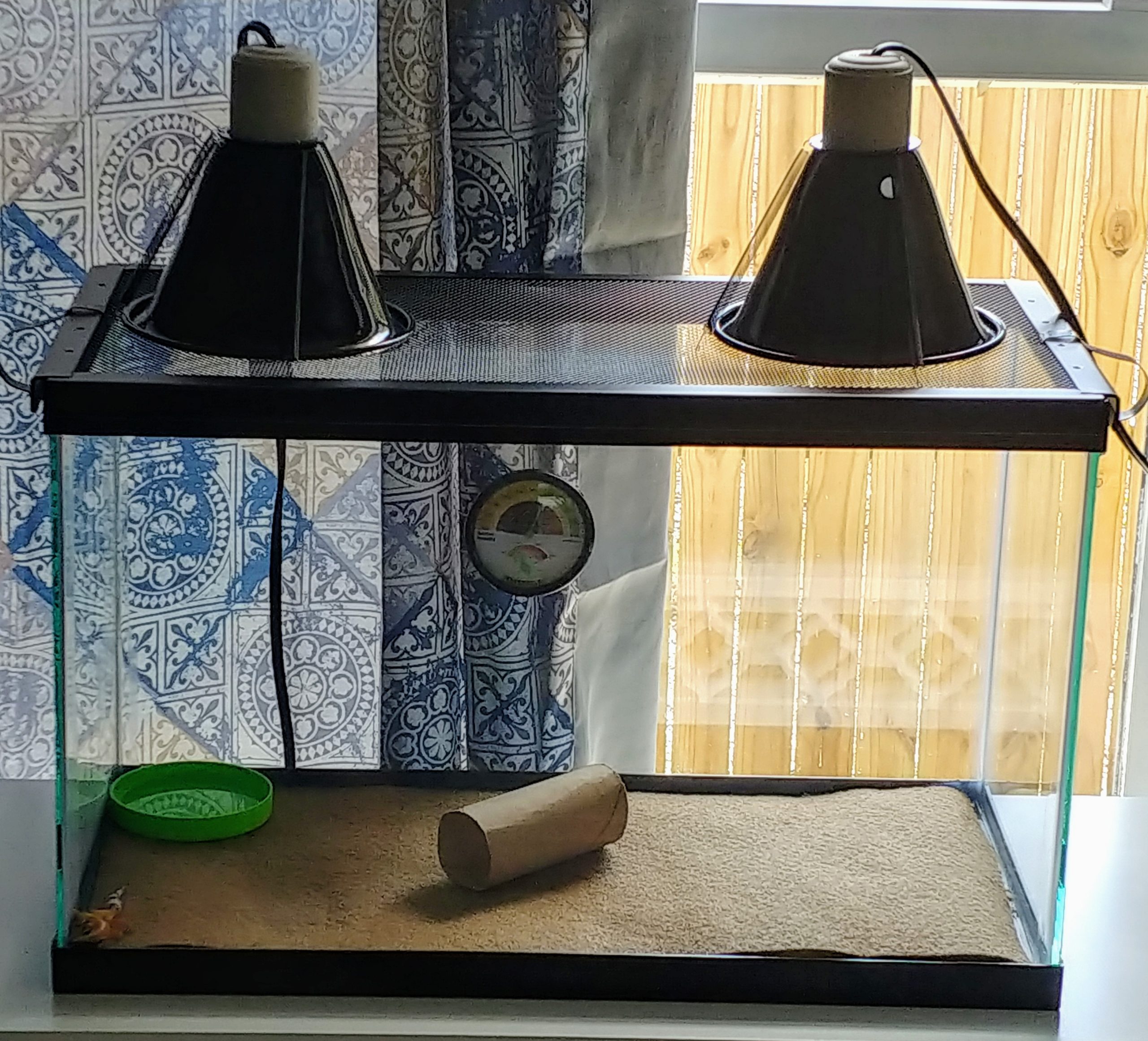 Zilla 10 Gallon Pet Reptile Starter Habitat Kit with Light and Heat for Small Desert Dwelling Animals customer photo 1