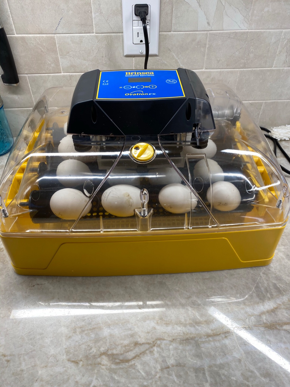 Brinsea Ovation 28 EX Incubator with Automatic Humidity Control customer photo 1