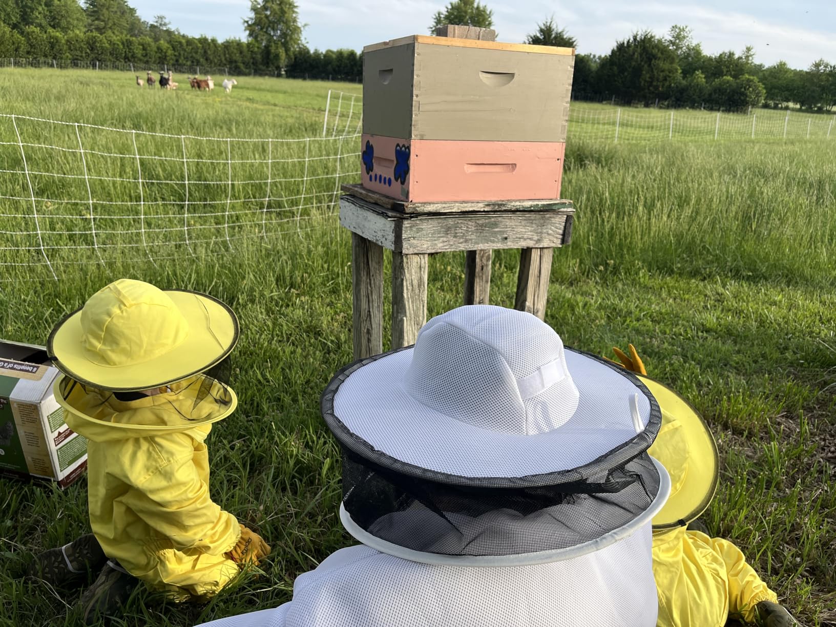 Ventilated Beekeeping Jacket with Round Veil, Heavy-Duty YKK Brass Zippers, Lightweight Breathable Airmesh Fabric (XL) customer photo 1