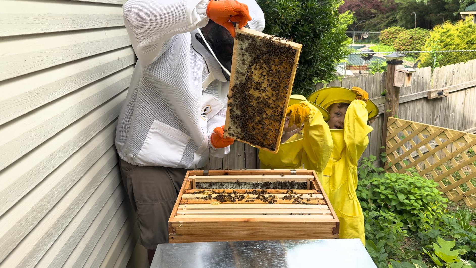 Ventilated Beekeeping Jacket with Round Veil, Heavy-Duty YKK Brass Zippers, Lightweight Breathable Airmesh Fabric (XL) customer photo 2