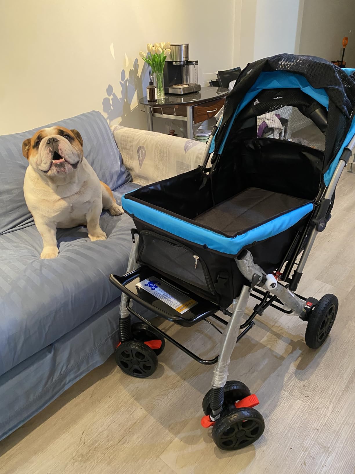 PET Rover Premium Heavy Duty Dog/Cat/Pet Stroller Travel Carriage with Convertible Compartment/Zipperless Entry/Reversible Handle Bar/Weather Resistance for Small, Medium and Large Pets (Blue) customer photo 1