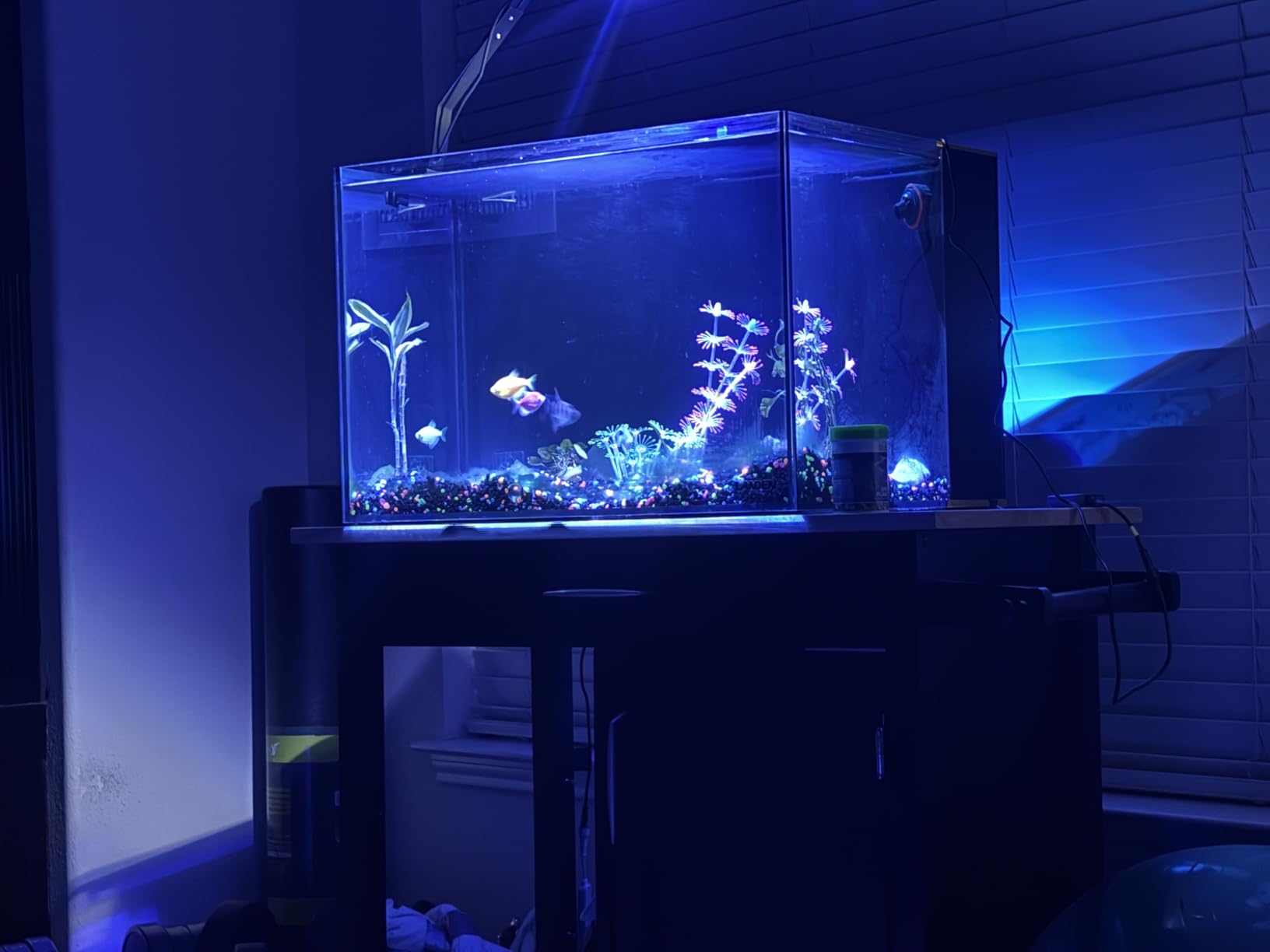Landen 60P 26.23 Gallon Ultra Clear All Glass Rimless Low Iron Aquarium Tank with Rear Filtration Chamber for Salt and Fresh (Return Pump Included) 23.6Wx17.7Dx15.8H in(60x45x40cm) 8mm Thickness customer photo 2