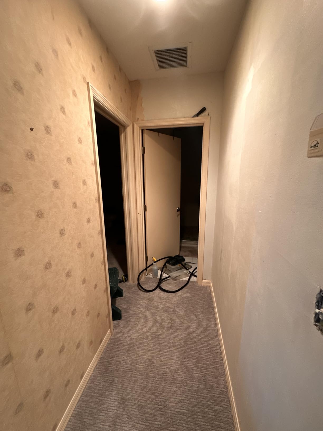 Wagner Spraytech 0282036 715 Power, Chemical Free Remover, Two Steam Plates Included, Long Run Time, Lightweight Design, Wallpaper Steamer customer photo 1