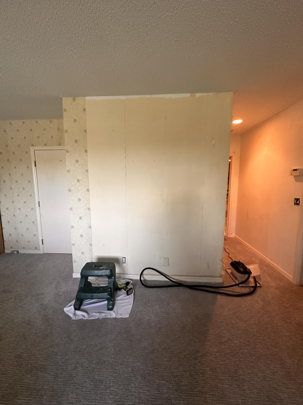 Wagner Spraytech 0282036 715 Power, Chemical Free Remover, Two Steam Plates Included, Long Run Time, Lightweight Design, Wallpaper Steamer customer photo 2