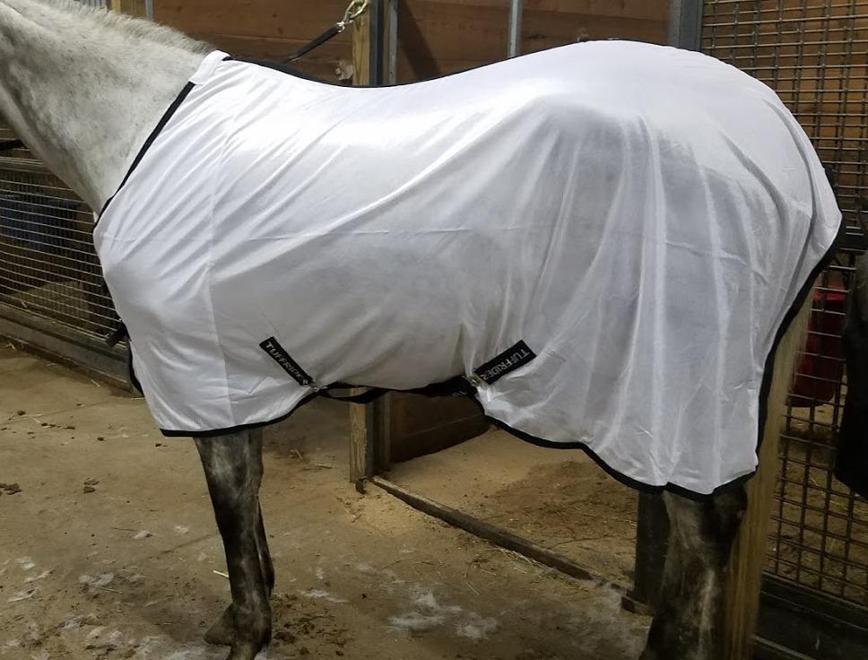 TuffRider Comfy Mesh Fly Sheet | UV Protection Horse Sheet, Standard Neck, 130 Grams Breathable Polyester Mesh - White - 75 customer photo 2