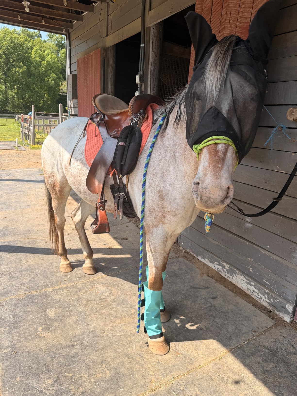 ECP Equine Comfort Products All-Purpose Contoured Correction Saddle Pad with Adjustable Memory Foam Inserts for Custom Support, Non-Slip, Shock Absorbing, 22