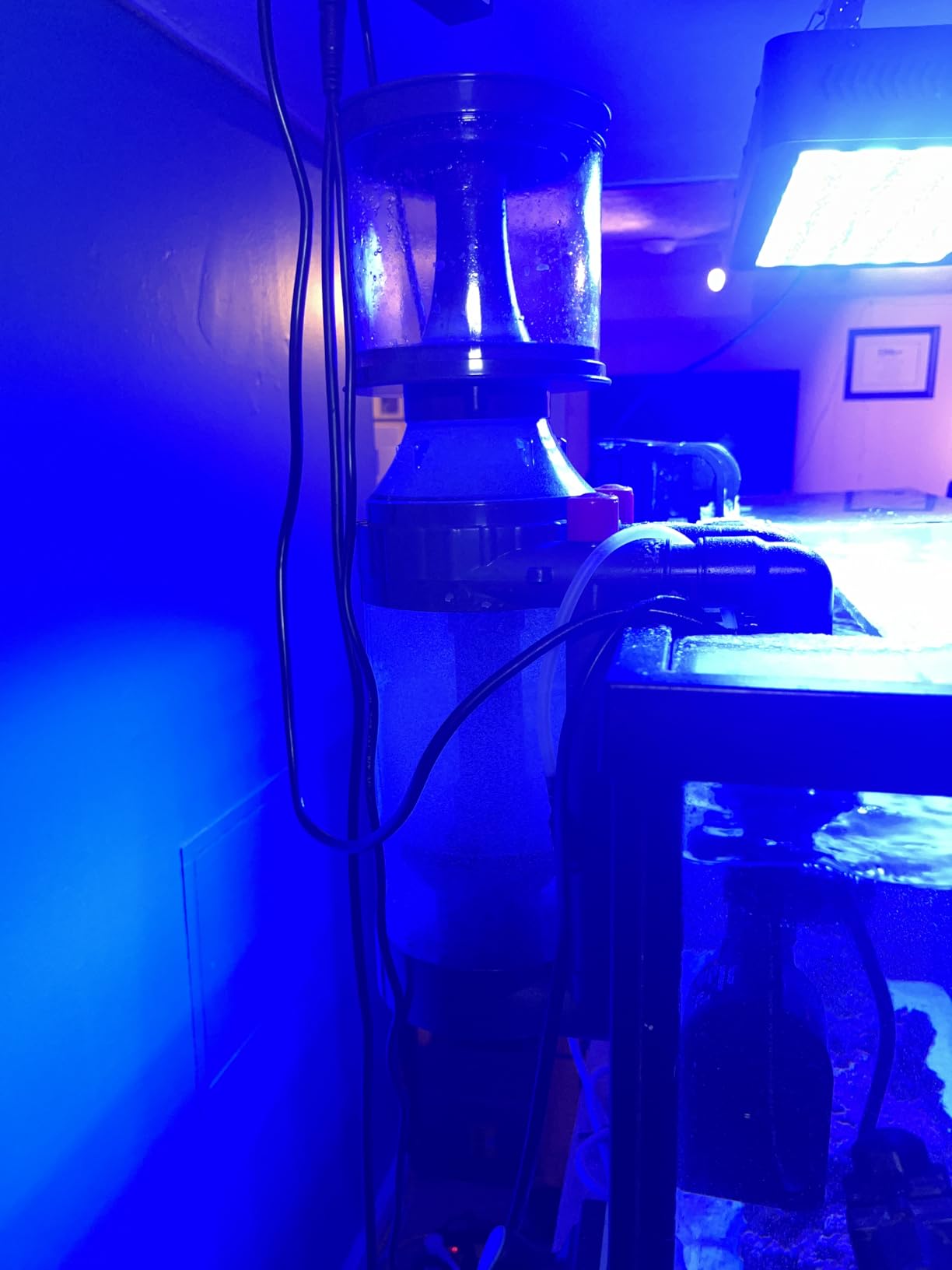 AQUATOP Xyclone PS-370 Protein Skimmer - 370 GPH Needle Wheel Pump Included - For Saltwater Aquariums Up to 100 Gallons - In-Sump or Hang-On Dual Outlet Design customer photo 1