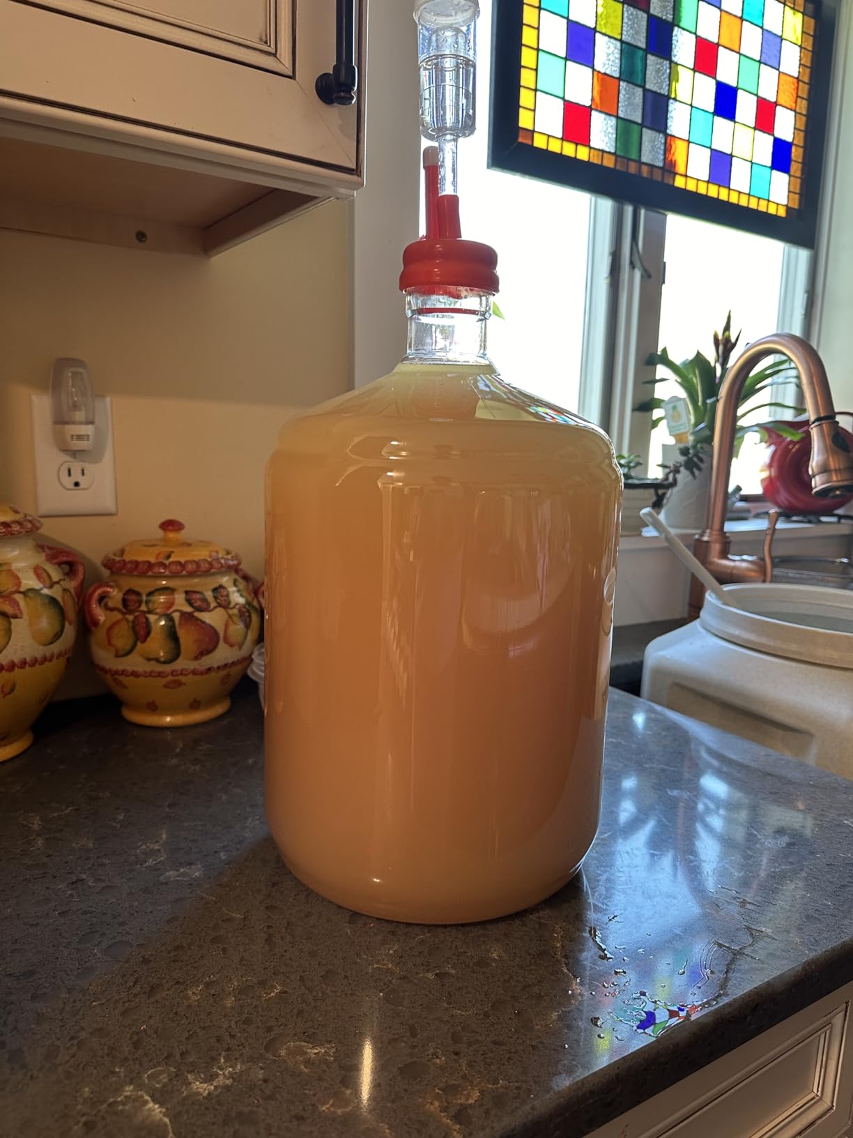 FastRack 3 Gallon PET Carboy | Clear 3 Gallon Fermenter | Food Grade - BPA Free, Leak-Proof for Fermentation, Storage and Brewing | Large Plastic Carboy for Home Brewing, Wine and Beer - 1 Pack customer photo 1
