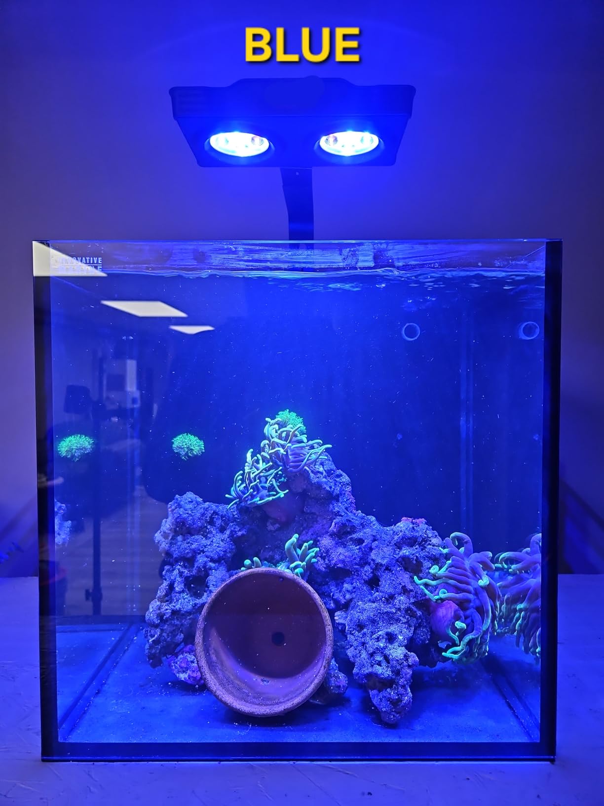 Aquarium Light - 3rd Generation A029 Aquarium LED Light 30 Watts Saltwater Light with Touch Control, 5W LED Chips for Coral Reef Nano Fish Tank Marine Tanks with Timer & Screen customer photo 1