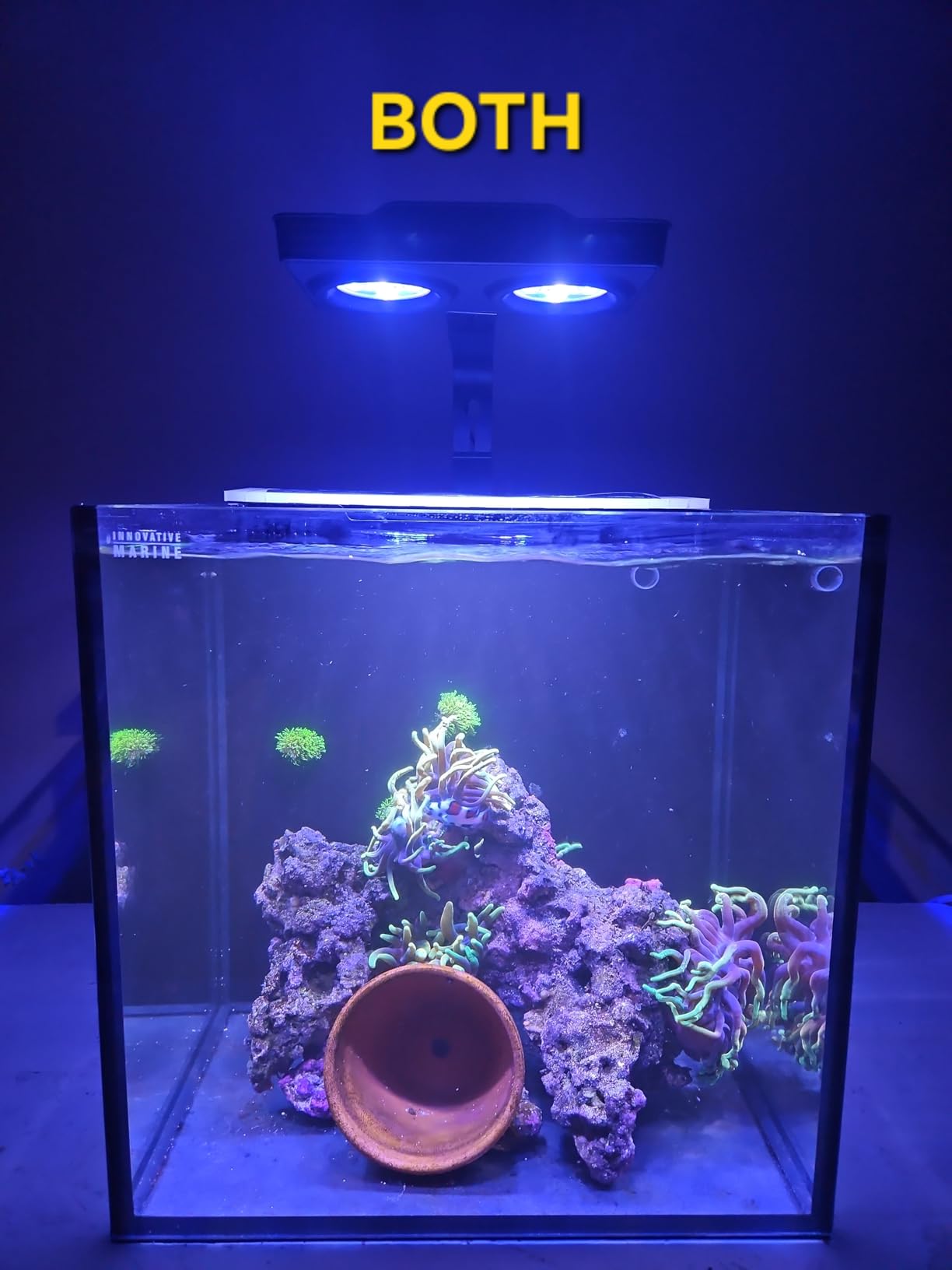 Aquarium Light - 3rd Generation A029 Aquarium LED Light 30 Watts Saltwater Light with Touch Control, 5W LED Chips for Coral Reef Nano Fish Tank Marine Tanks with Timer & Screen customer photo 2