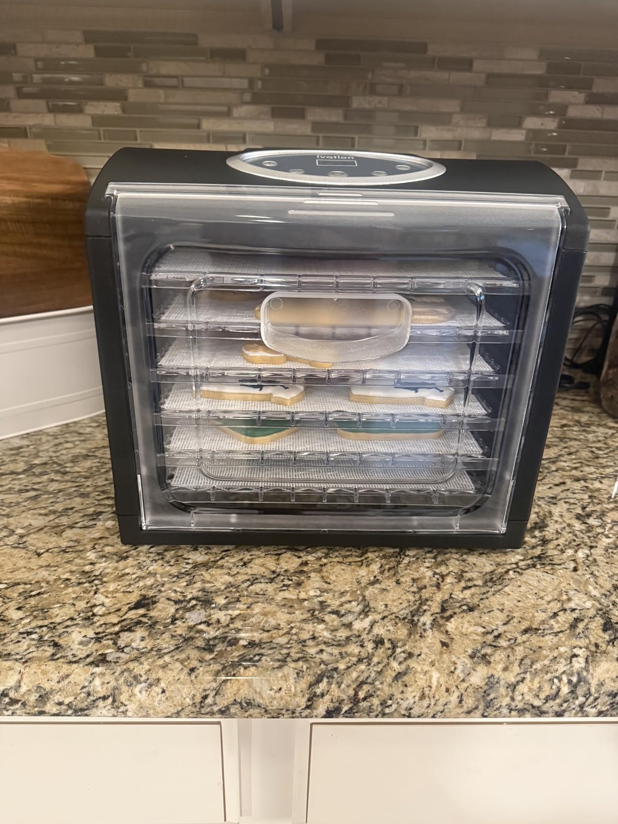 Ivation 9 Tray Countertop Digital Food Dehydrator Drying Machine 600w with Preset Temperature Settings, Auto Shutoff Timer and Even Heat Circulation for Beef Jerky, Fruits, Vegetables & Nuts customer photo 1