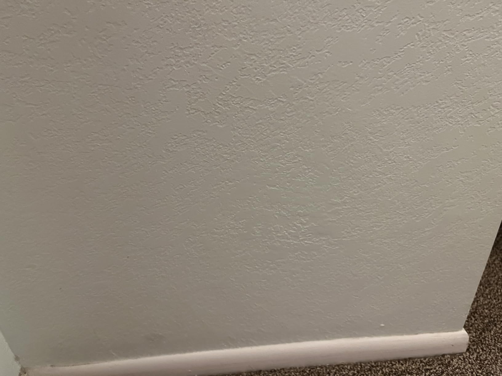Homax 41072041218 Texture Touch Up Kit, Wall and Ceiling Texture and Sprayer customer photo 2