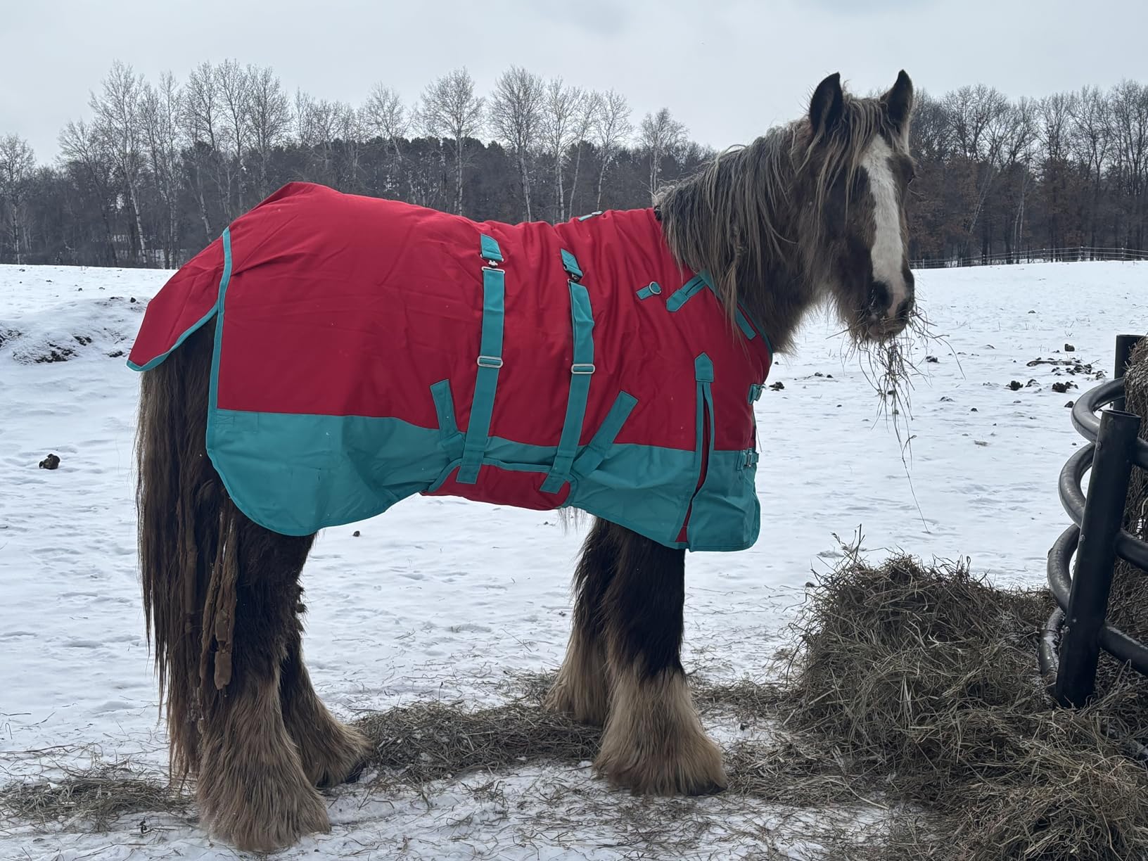 HILASON 1200D Winter Waterproof Poly Horse Blanket Belly Wrap | Turnout Blankets for Horses customer photo 1