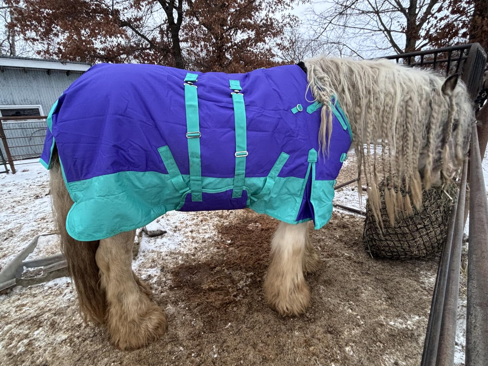 HILASON 1200D Winter Waterproof Poly Horse Blanket Belly Wrap | Turnout Blankets for Horses customer photo 2