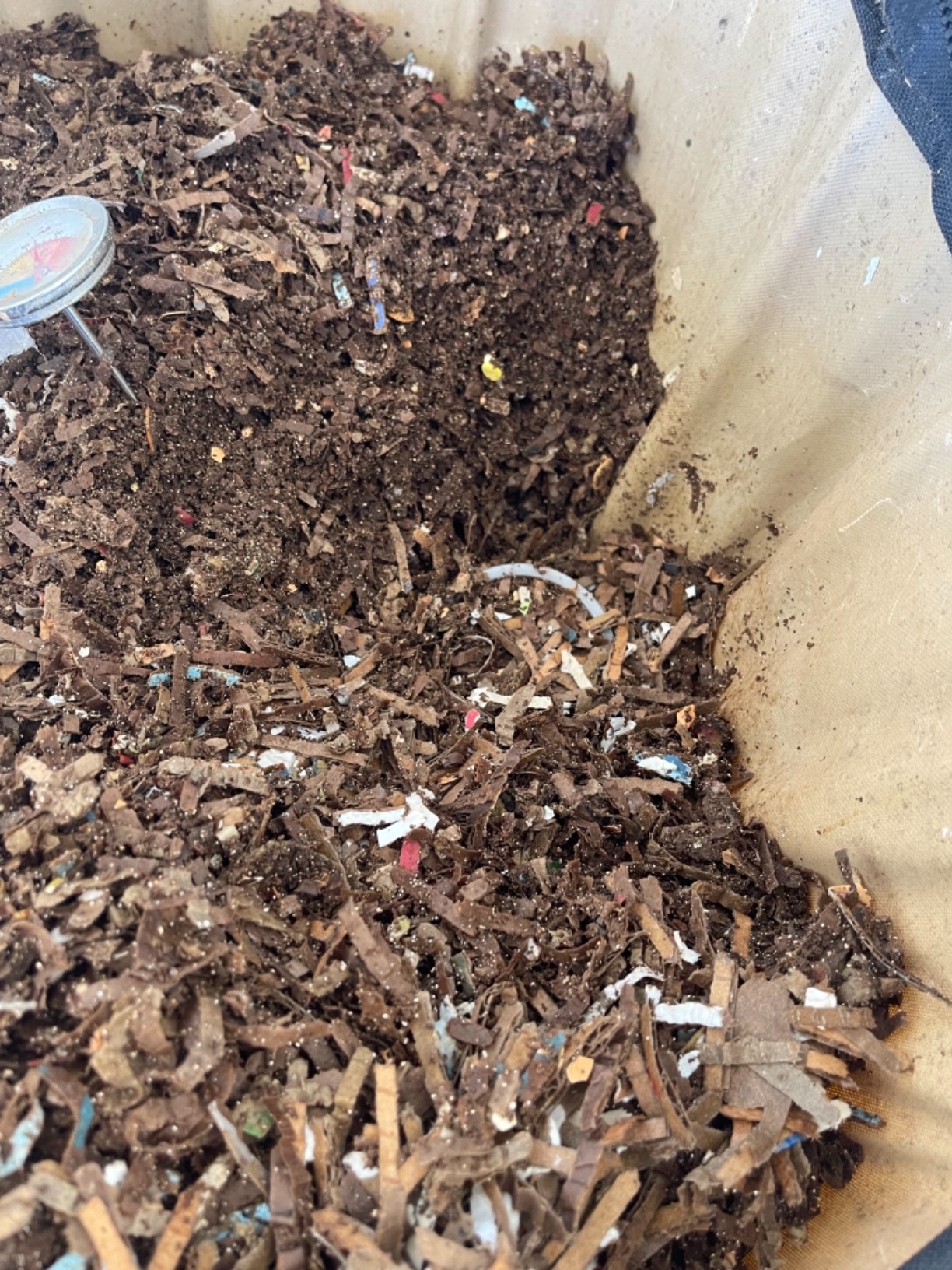 Urban Worm Bag Worm Composting Bin Version 2 - Easy Harvest with Fully Removable Zipper-Free Bottom customer photo 2