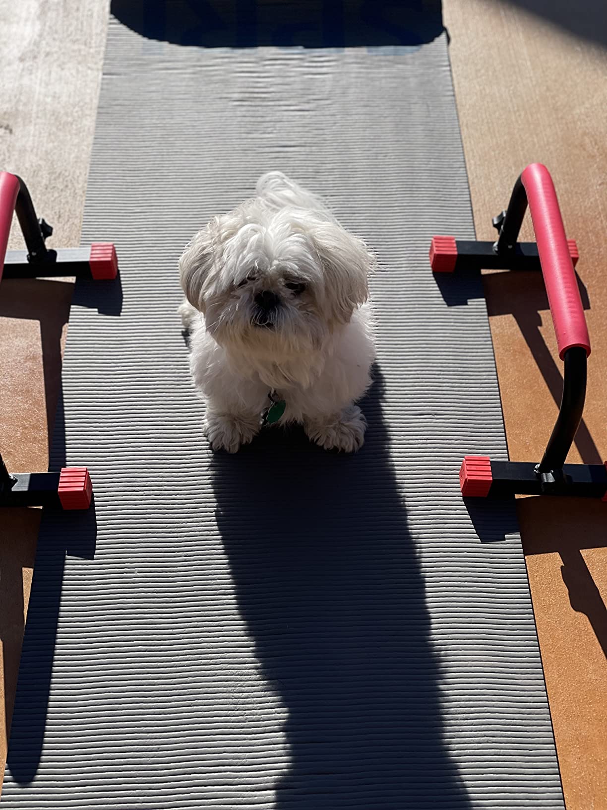 Rubberbanditz Parallette, Parallel Bars & Dip Station | At Home Gym Workout Equipment, L-Sit Bars & Calisthenics Equipment for Home customer photo 1