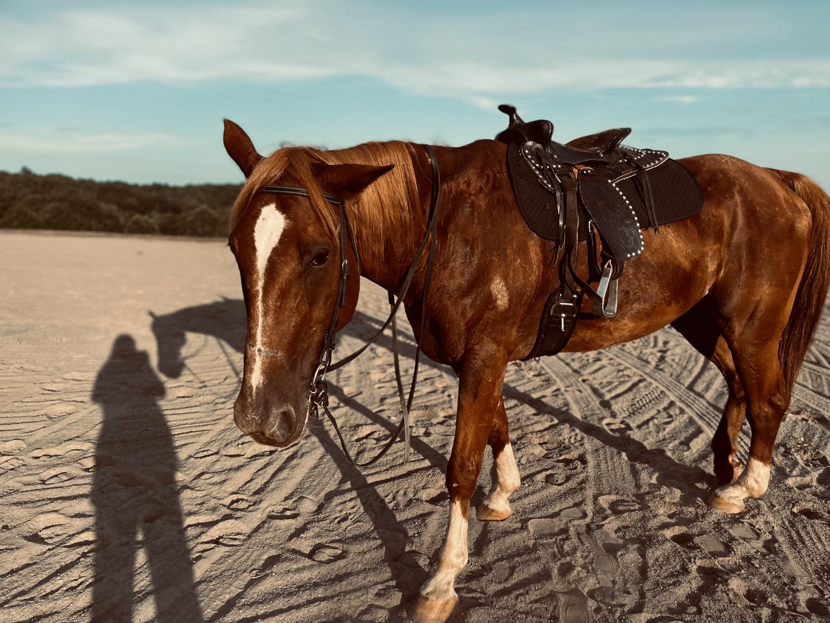 ECP Equine Comfort Products Thermoregulating Western Saddle Pad, Machine Washable Contoured Fit, Water Absorbing, Therapeutic, Shock Absorbing with Adjustable Memory Foam Shims customer photo 2