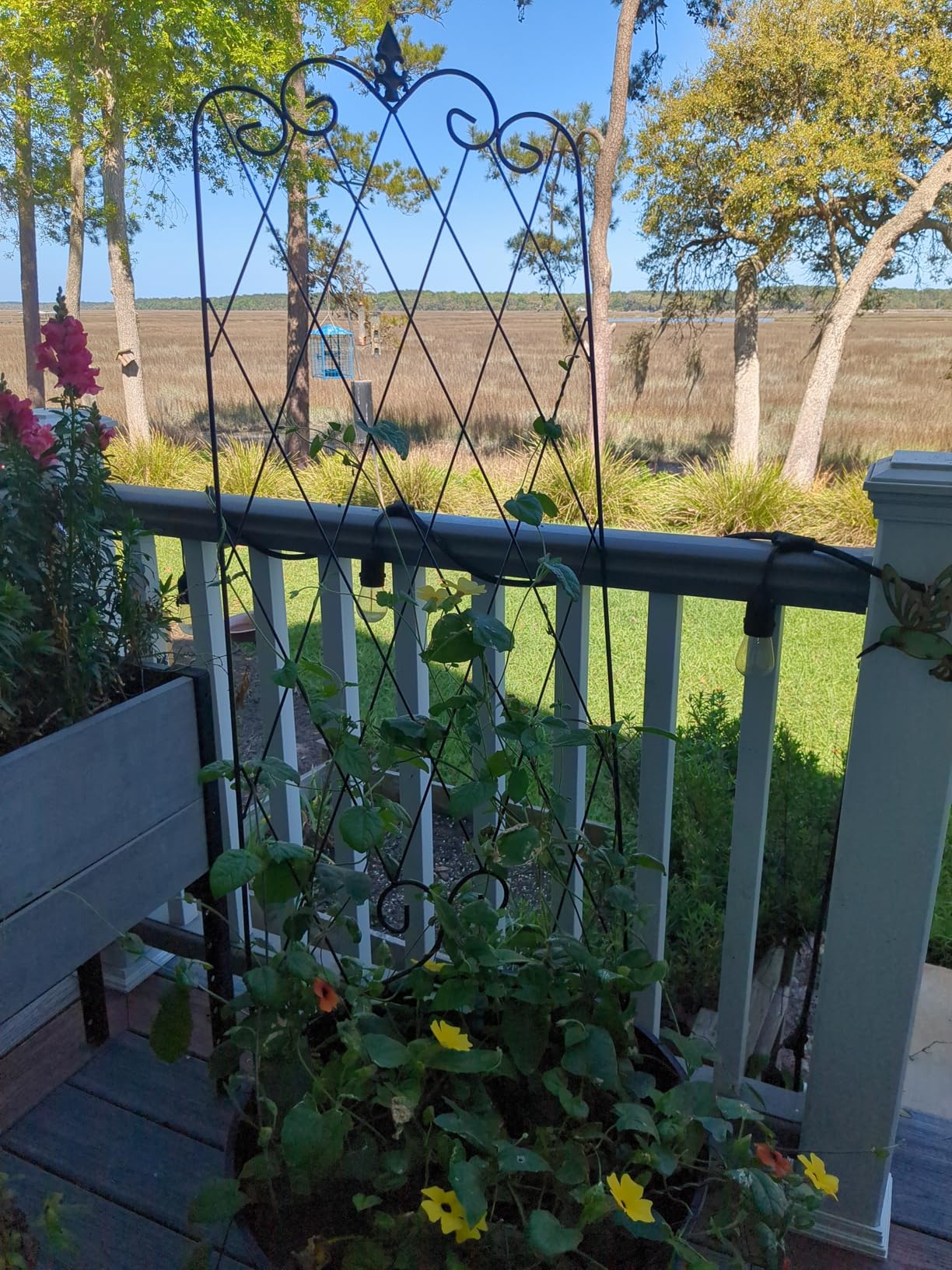Amagabeli Garden Trellis for Climbing Plants 47
