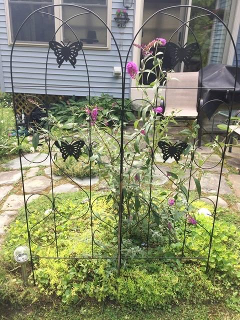 Amagabeli Garden Trellis for Climbing Plants 47