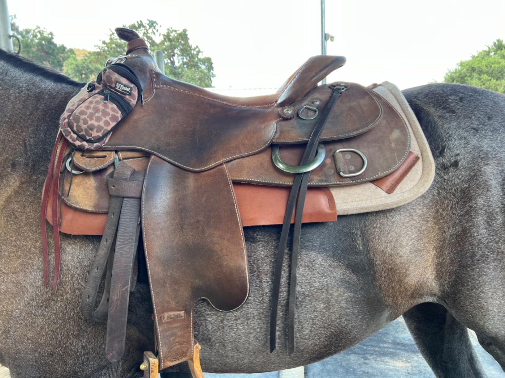 Impact Gel Contour Saddle Pad customer photo 2
