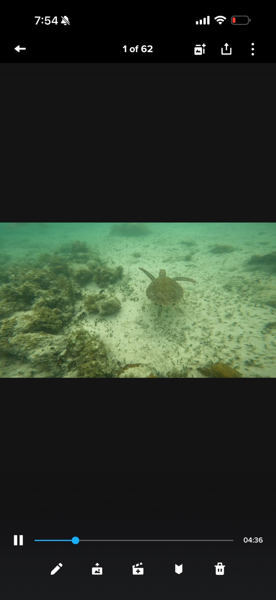 Seaview Palawan Inflatable Snorkel Vest - Premium Snorkel Jacket for Adults. Balanced Flotation, Secure Lock and Comfort Fit. for Snorkeling, Paddle-Boarding and Other Low Impact Water Sports. customer photo 1