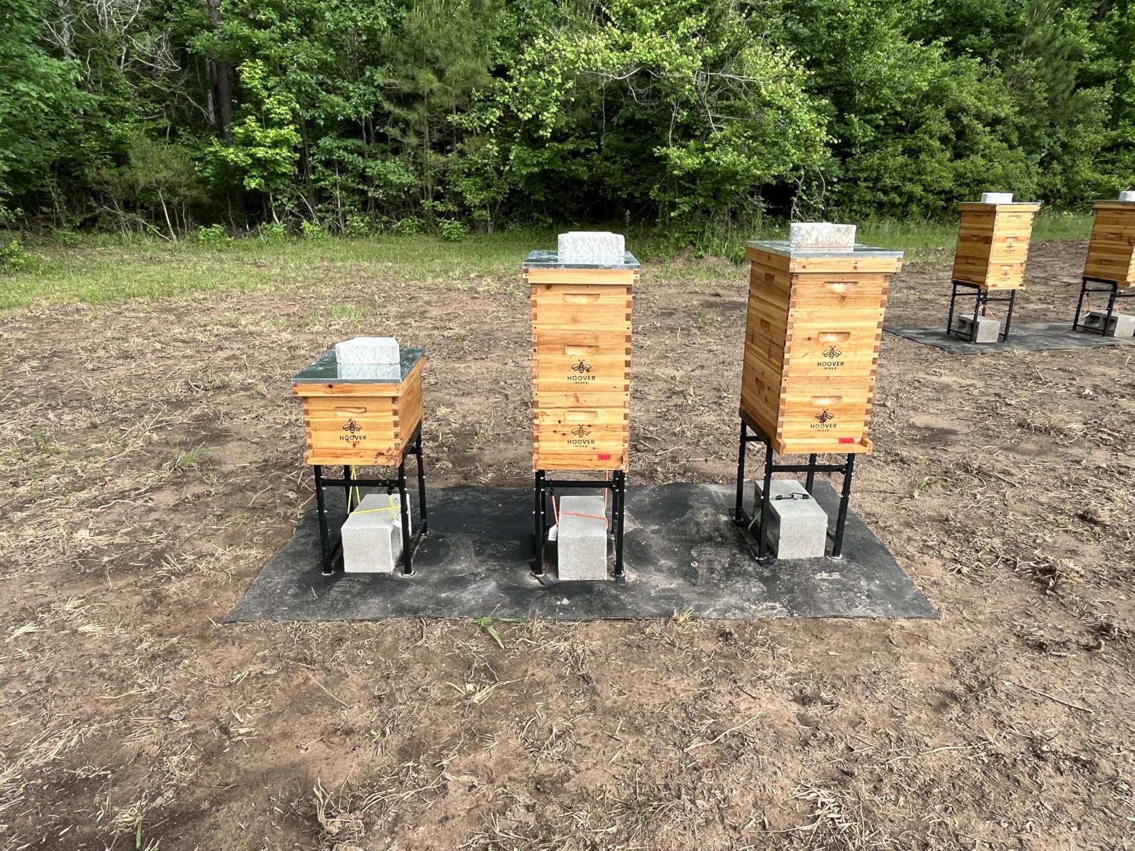 Hoover Hives Complete 8-Frame Beehive Kit - Wax-Coated Fir Wood, Includes 2 Deep Brood Boxes, 1 Medium Super, Langstroth Frames & CellTech Foundations - Durable, Weather-Resistant Beekeeping Supplies customer photo 2