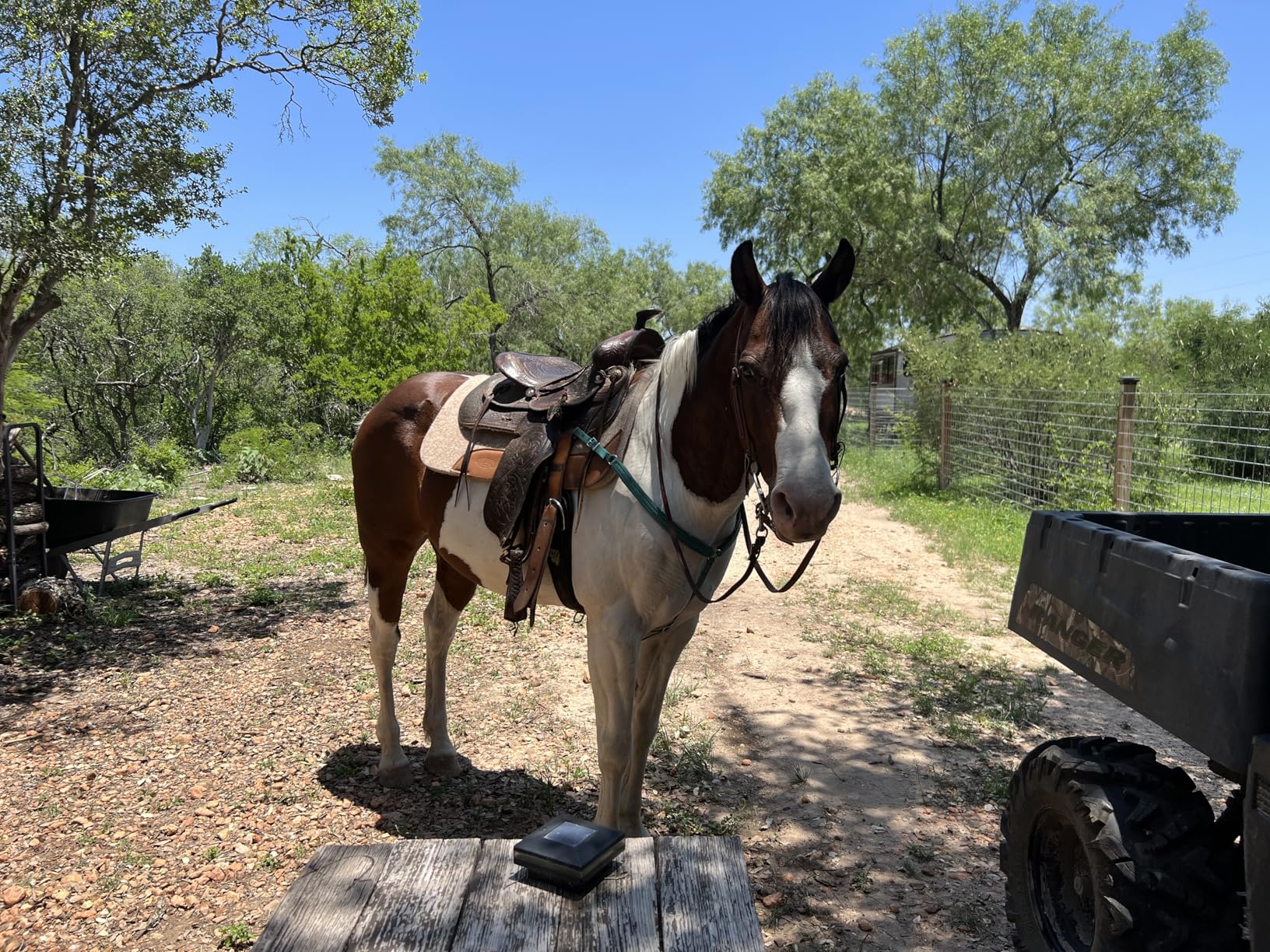 Weaver Equine 30