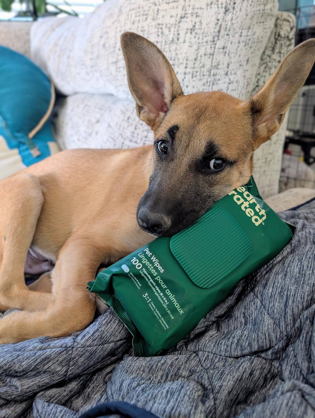Earth Rated Dog Wipes, Hypoallergenic, 3-in-1 Cleaning and Hydrating, for Grooming Paws, Body and Butt, Lavender Scented, 100 Count customer photo 1