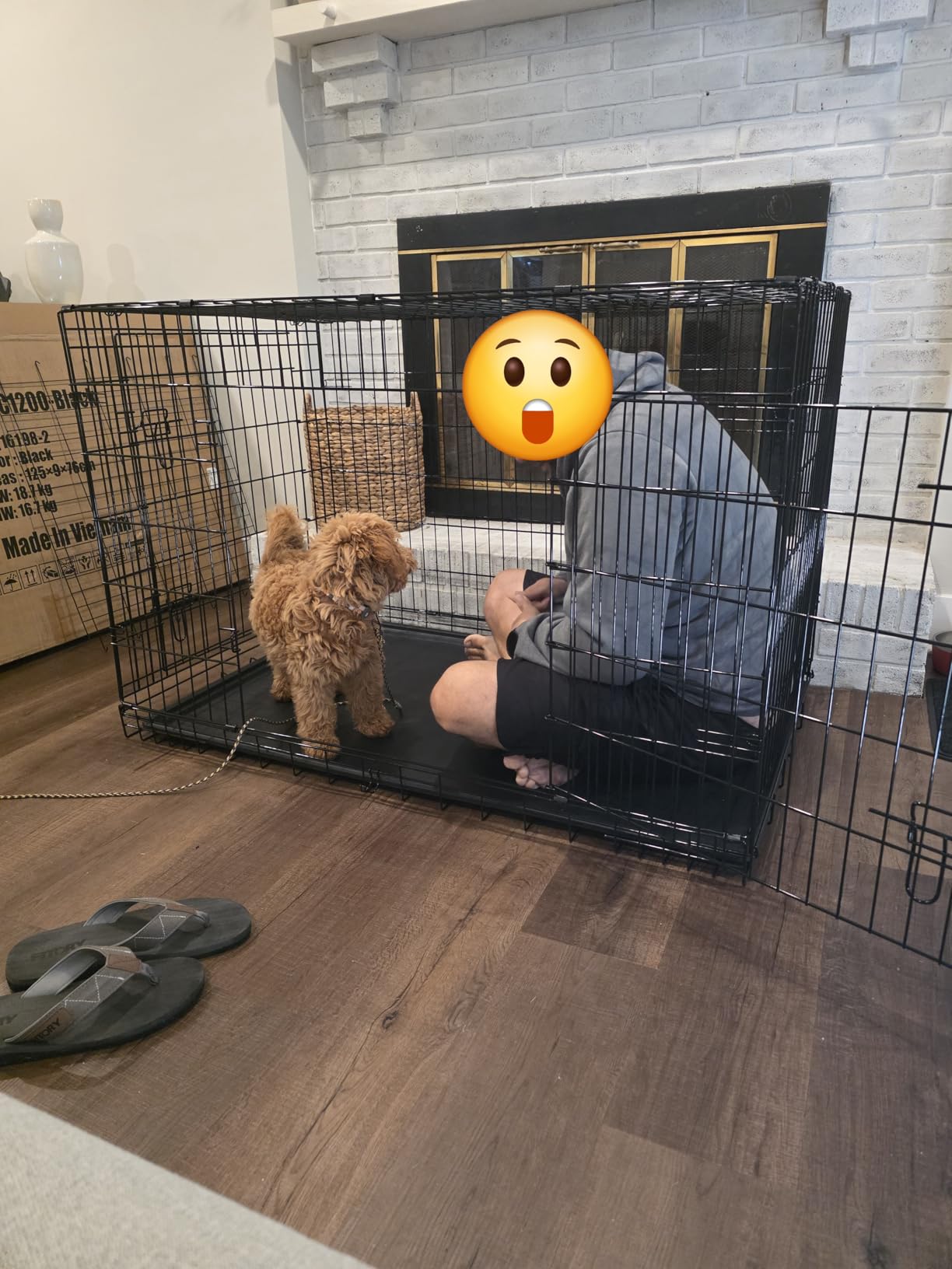 BestPet | Dog Crate | 48