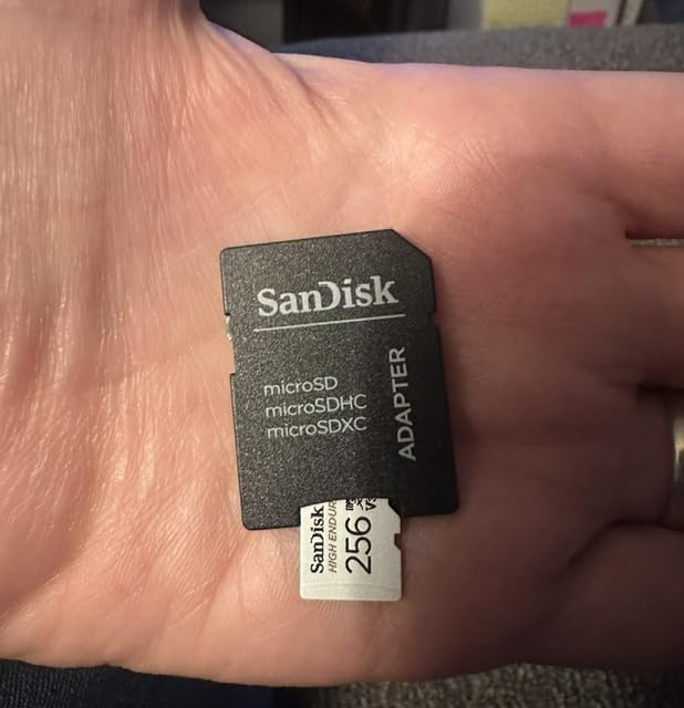 SANDISK 256GB High Endurance Video microSDXC Card with Adapter for dash cam and home monitoring systems - C10, U3, V30, 4K UHD, Micro SD Card - SDSQQNR-256G-GN6IA customer photo 2