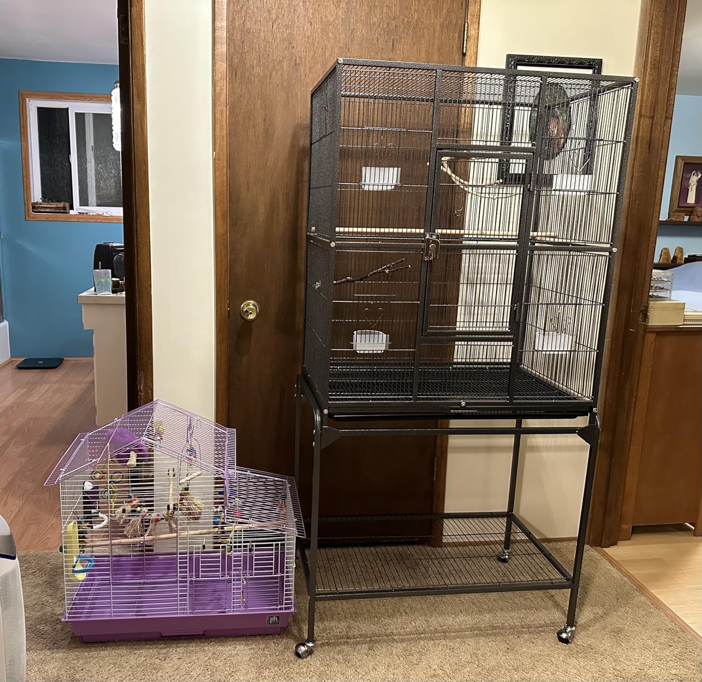 Yaheetech 63-Inch Wrought Iron Rolling Large Bird Cage for African Grey Small Quaker Amazon Parrots Canary Bird Flight Cage customer photo 2