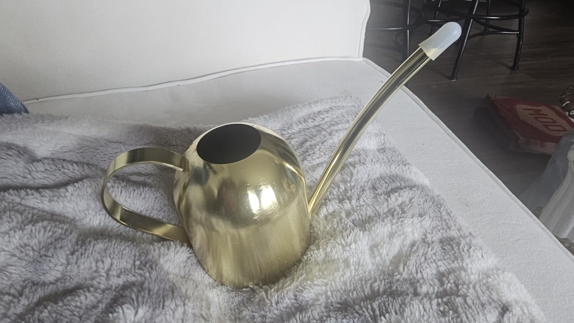 IMEEA Small Watering Can for Indoor Plants, Stainless Steel with Long Spout, 15oz/450ml - Perfect for Desk, Windowsill & Bonsai customer photo 1