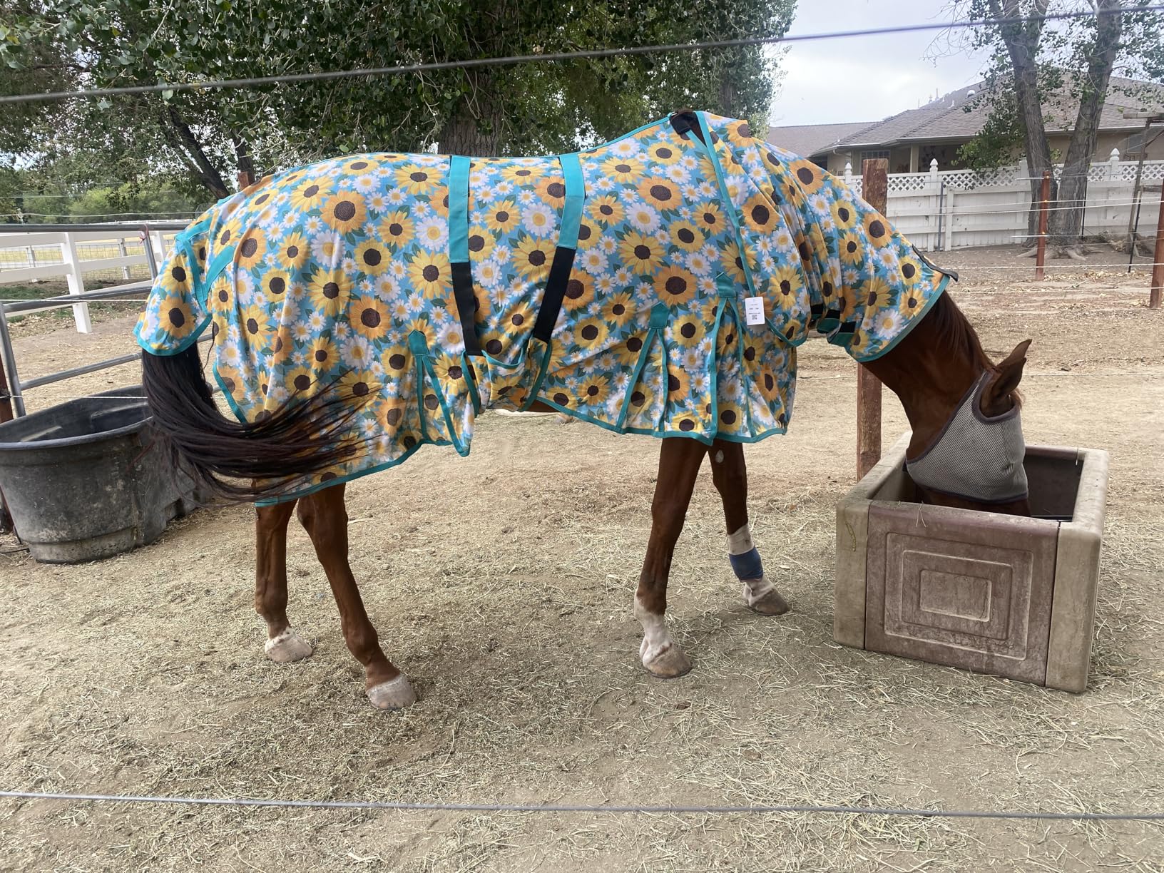 HILASON Horse Fly Sheet UV Protect Breathable Mesh Bug Mosquito Spring Summer Horse Rug customer photo 2