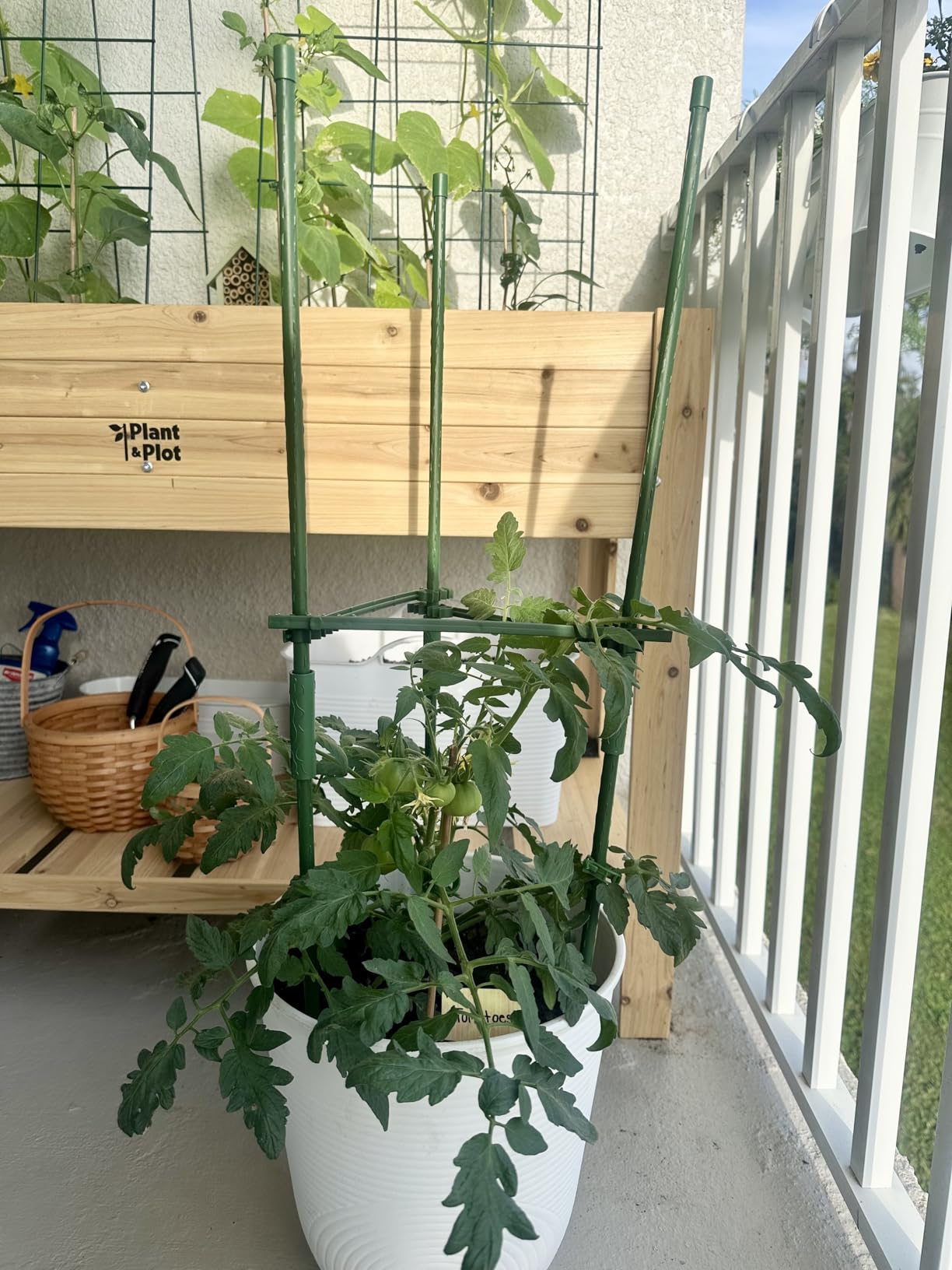 K-Brands Tomato Cage - Tomatoes Plant Stakes Support Cages Trellis for Garden and Pots (3 Pack - Extra Tall Upto 68 inches) customer photo 2