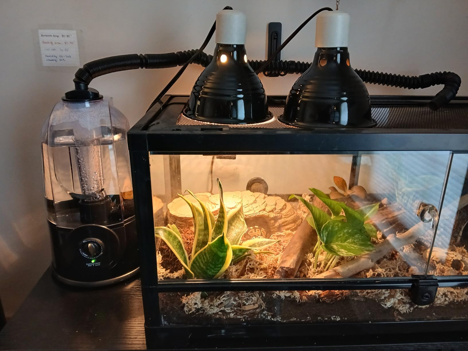 Coospider 3.8L Reptile Fogger Mister, Quiet Reptile Humidifier for Reptiles Tank, Terrarium Humidifiers with Extended Tube, Automatic Reptile Misting System for Reptiles Amphibians Herps Vivarium customer photo 1