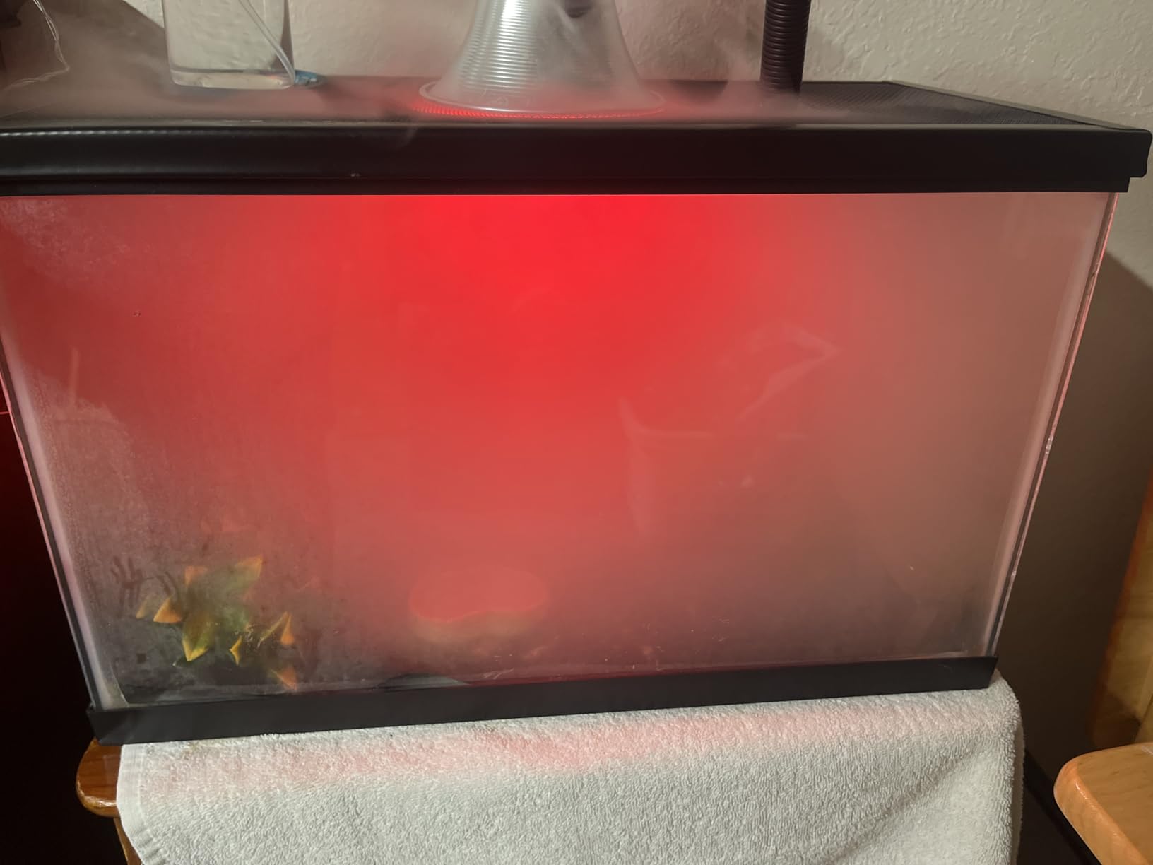 REPTI ZOO 4L Reptile Fogger Mister Tank, Terrariums Digital Tank Timing Humidifier Smart Touch Screen Adjustable Fogger for Reptiles Amphibians Herps customer photo 1