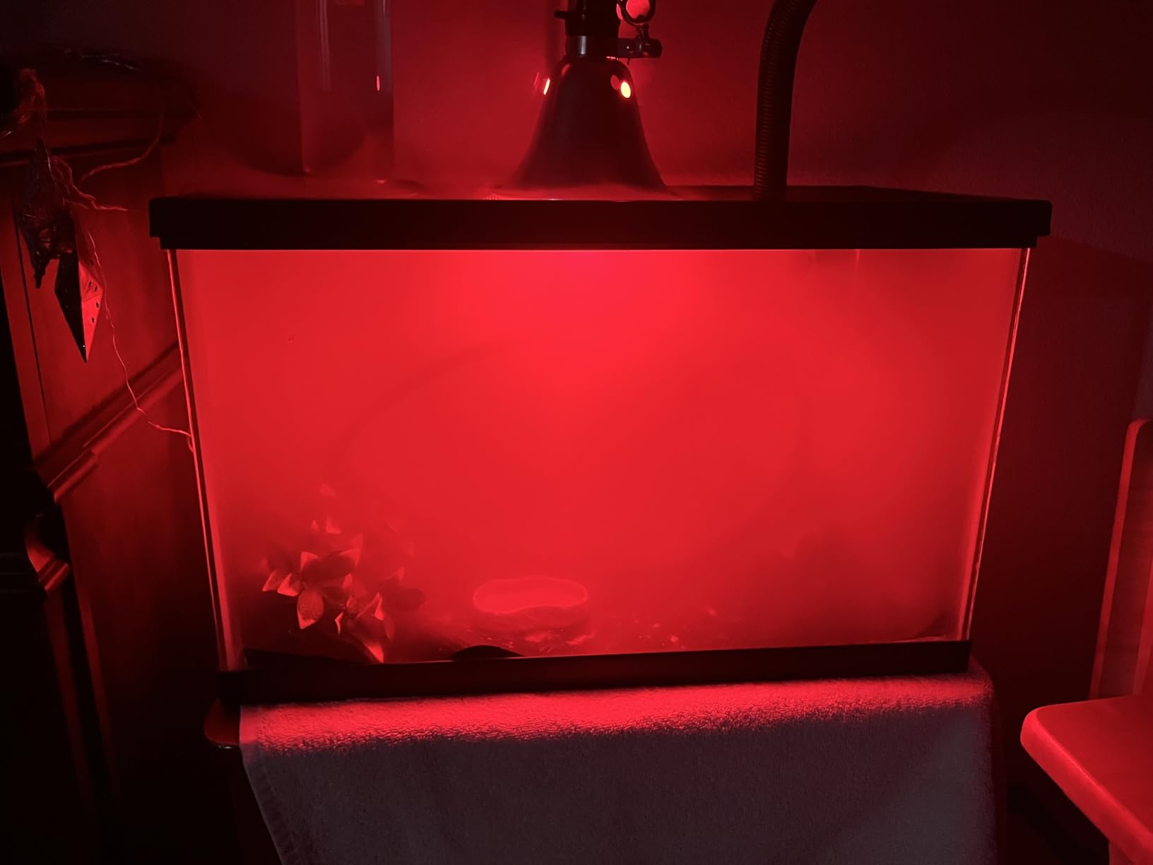 REPTI ZOO 4L Reptile Fogger Mister Tank, Terrariums Digital Tank Timing Humidifier Smart Touch Screen Adjustable Fogger for Reptiles Amphibians Herps customer photo 2