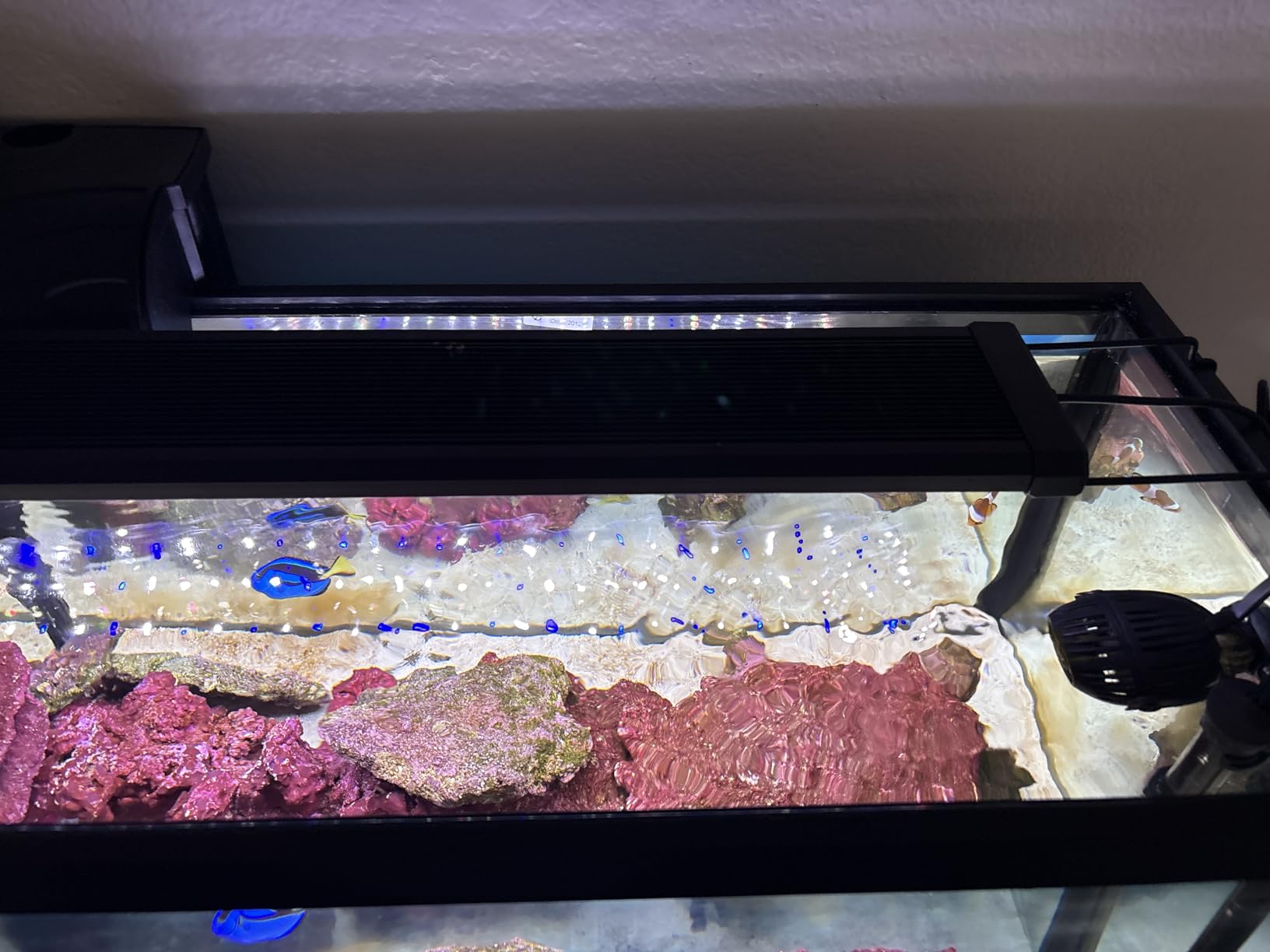 NICREW Saltwater Aquarium Light, Marine LED Fish Tank Light for Coral Reef Tanks, 2-Channel Timer Included, 30 to 36-Inch, 32-Watt customer photo 2