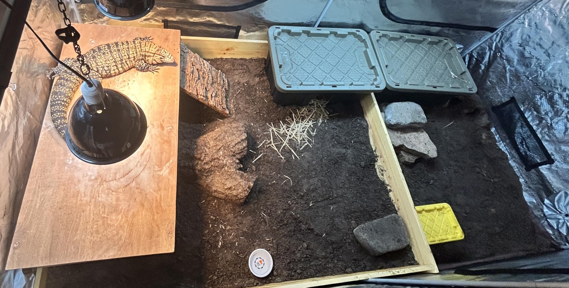 Spider Farmer 4.6x2.3 Grow Tent, 55