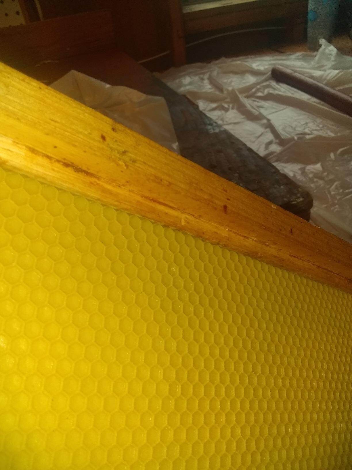 BeeCastle Yellow Beehive Wax Coated Foundation Sheet, Waxed Honey Comb Foundations for Beehives, 8-1/2-Inch Deep Beehive Frames customer photo 1