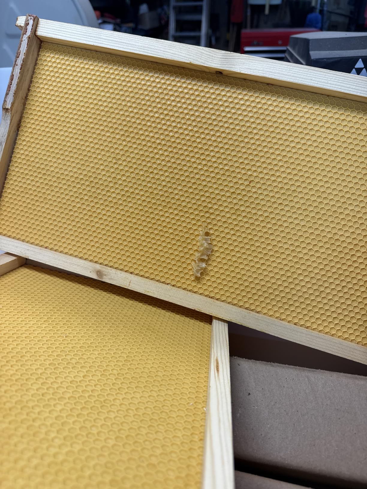 BeeCastle Yellow Beehive Wax Coated Foundation Sheet, Waxed Honey Comb Foundations for Beehives, 8-1/2-Inch Deep Beehive Frames customer photo 2
