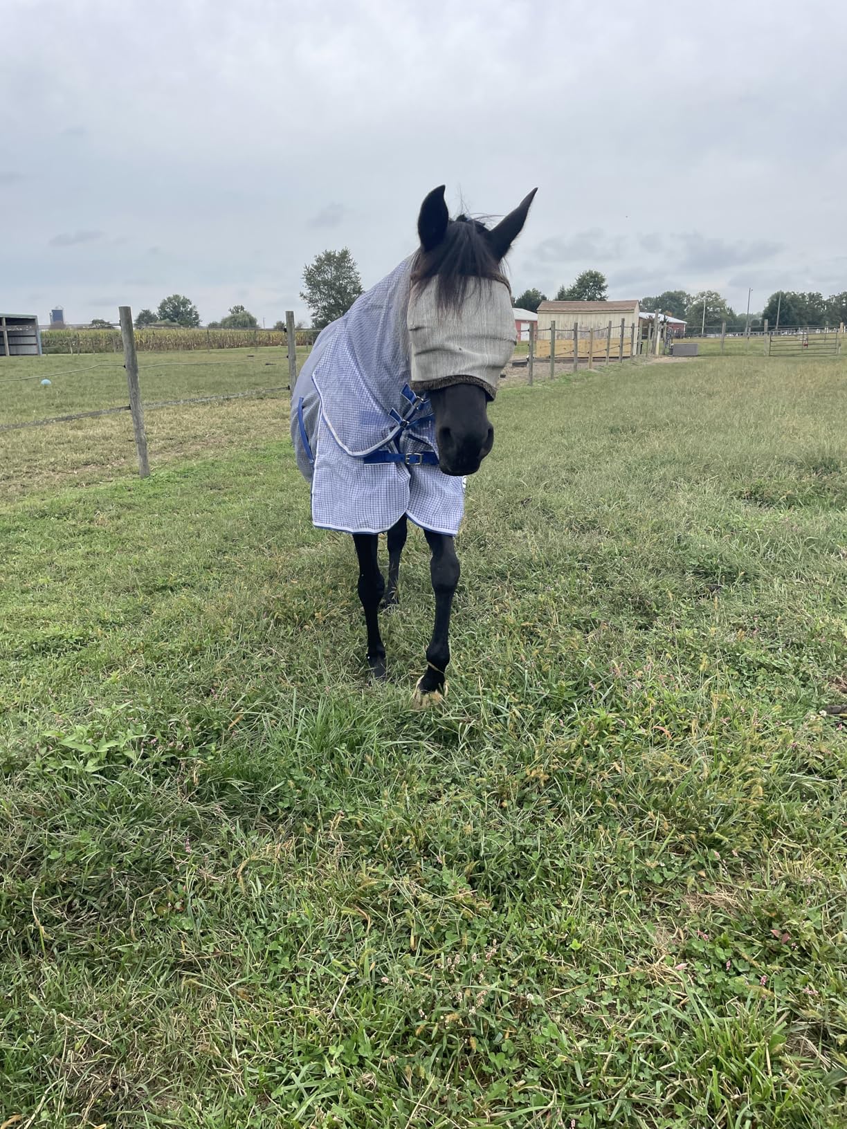 WeatherBeeta ComFiTec Ripshield Plus with Belly Wrap Detach A Neck customer photo 1