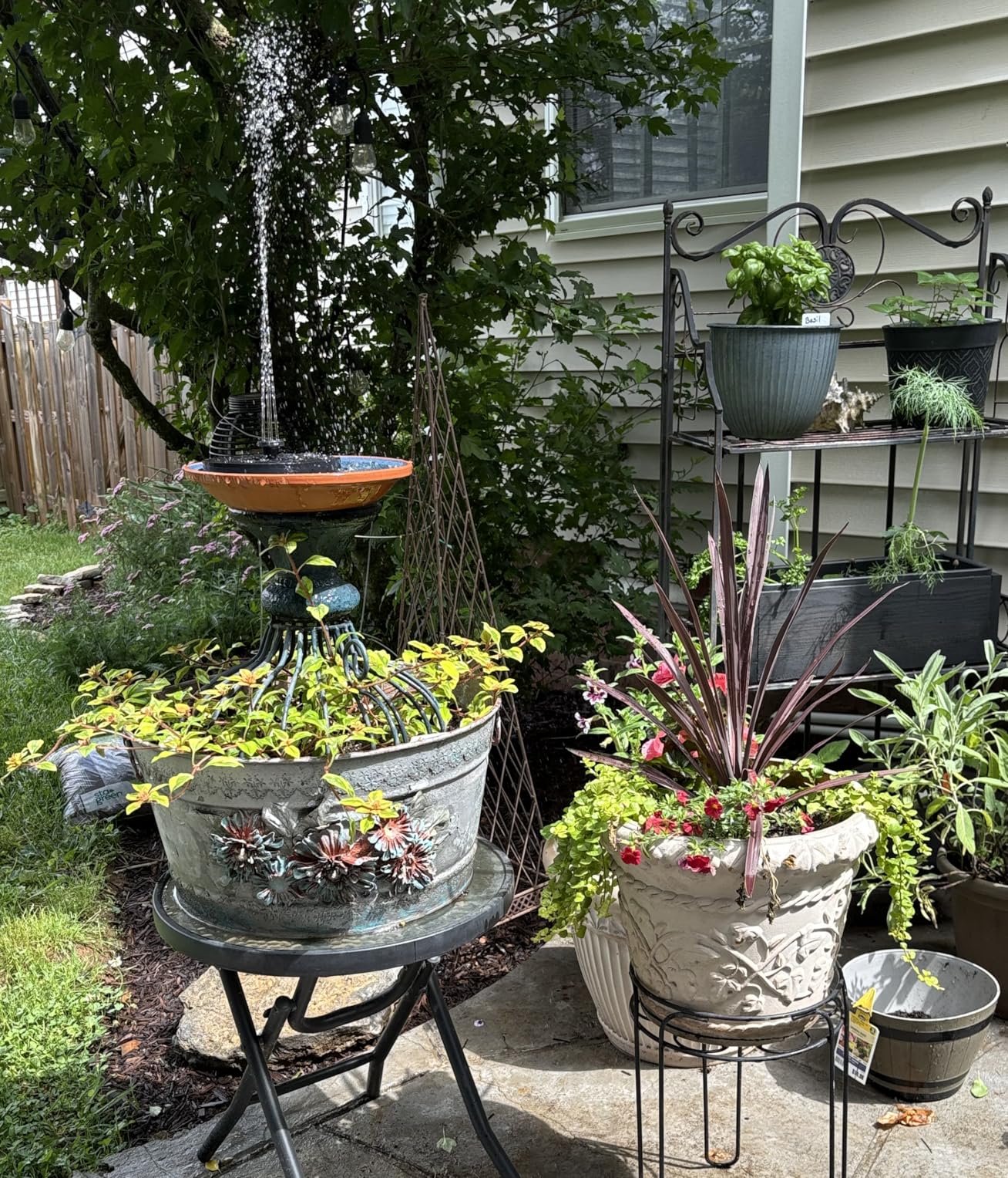 Mademax Solar Bird Bath Fountains, Upgrade 1.4W Solar Fountain Pump with 8 Nozzles & 4 Brackets, Free Standing Floating Solar Powered Water Fountain Pump for Bird Bath, Garden, Pond, Pool, Outdoor customer photo 2