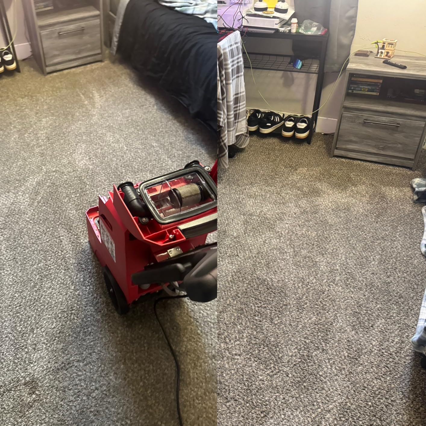Rug Doctor Mighty Pro X3 Commercial Carpet Cleaner - Large Red Pet Pack, Includes 48 oz. Pet Carpet Cleaner Solution, Commercial Carpet Cleaning Machine, Powerful One Pass Cleaning System customer photo 1