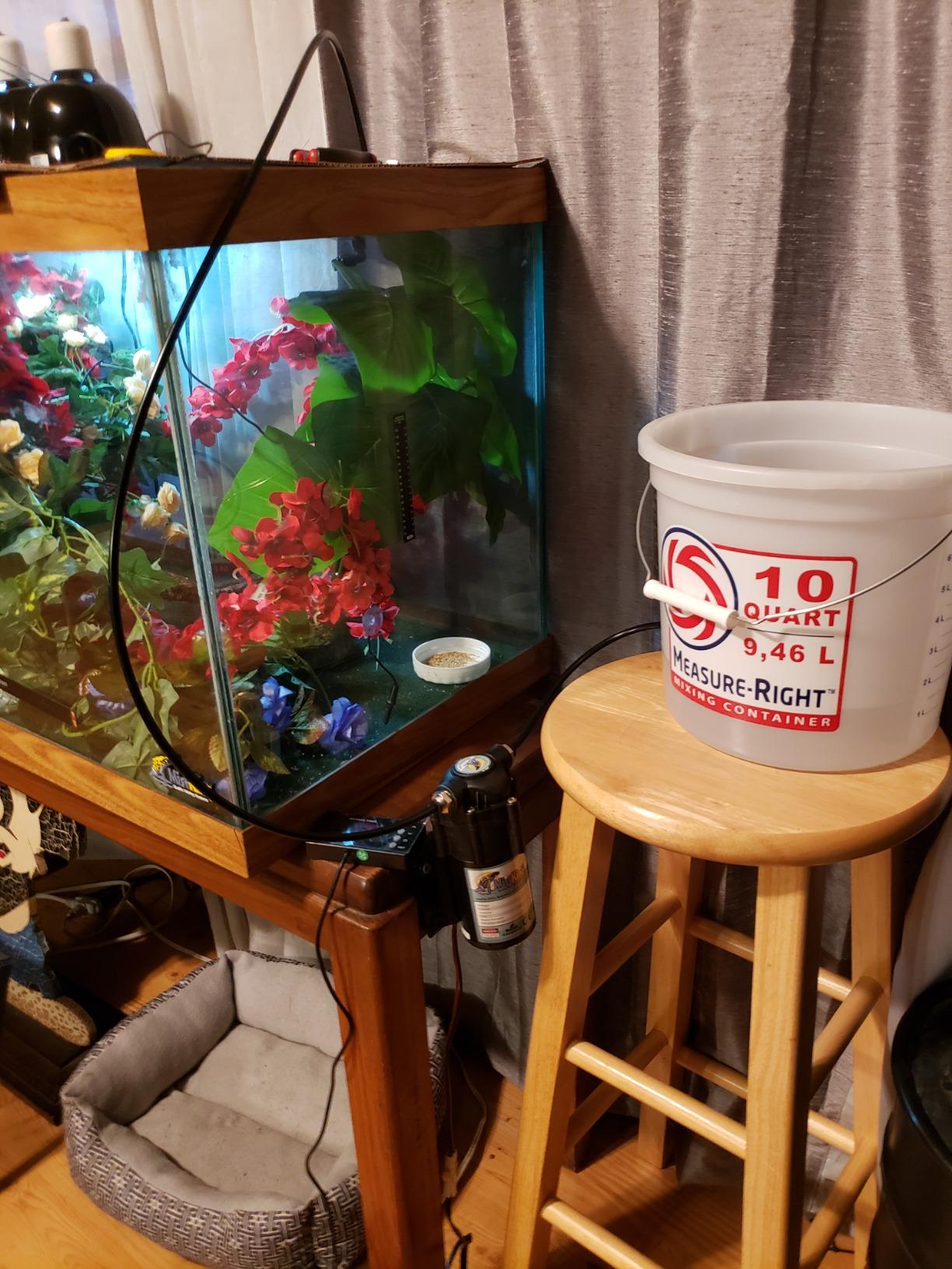 MistKing - Starter Misting System, 5th Gen | Used by Zoos, Botanical Gardens, Institutions & Hobbyists | Expandable to 10 Nozzles | Extremely Fine Mist | 50 Micron Droplets customer photo 1