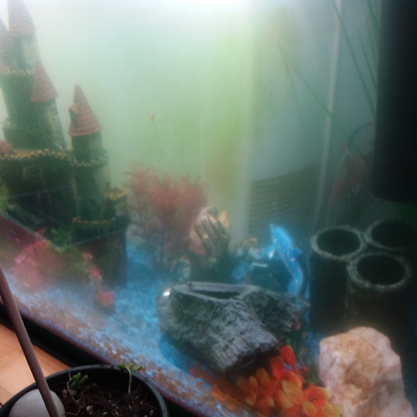 Fluval Flex 32.5 Marine Salt Water Aquarium Kit - Fish Tank for Fish, Coral & More - Comes with LED Lights, Filtration System & More - 32.5