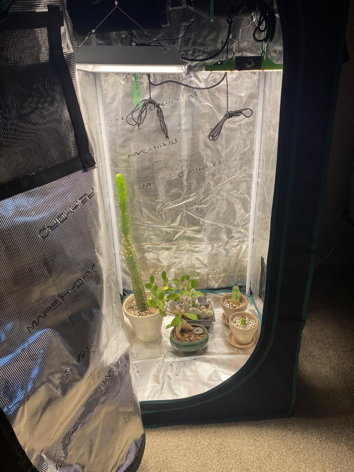 MARS HYDRO 2x2 Grow Tent Kit Complete System with 100W TS600 LED Dimmable Grow Light, 1680D High Reflective Mylar Grow Tent, Smart WiFi Control Ventilation Kit customer photo 1